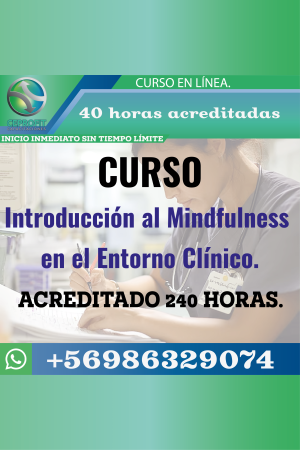 Introducción al Mindfulness en el Entorno Clínico.