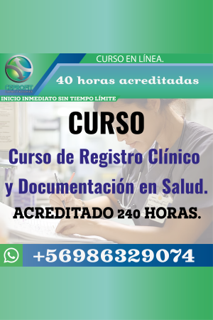 Curso de Registro Clínico y Documentación en Salud.