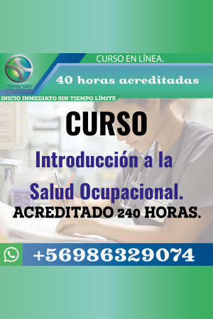 Introducción a la Salud Ocupacional.
