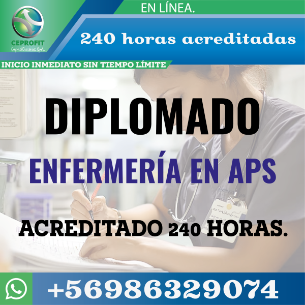 https://www.otecays.cl/ diplomado en aps